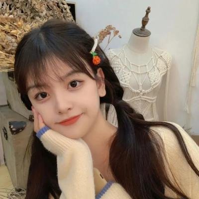 我的丫鬟是总监